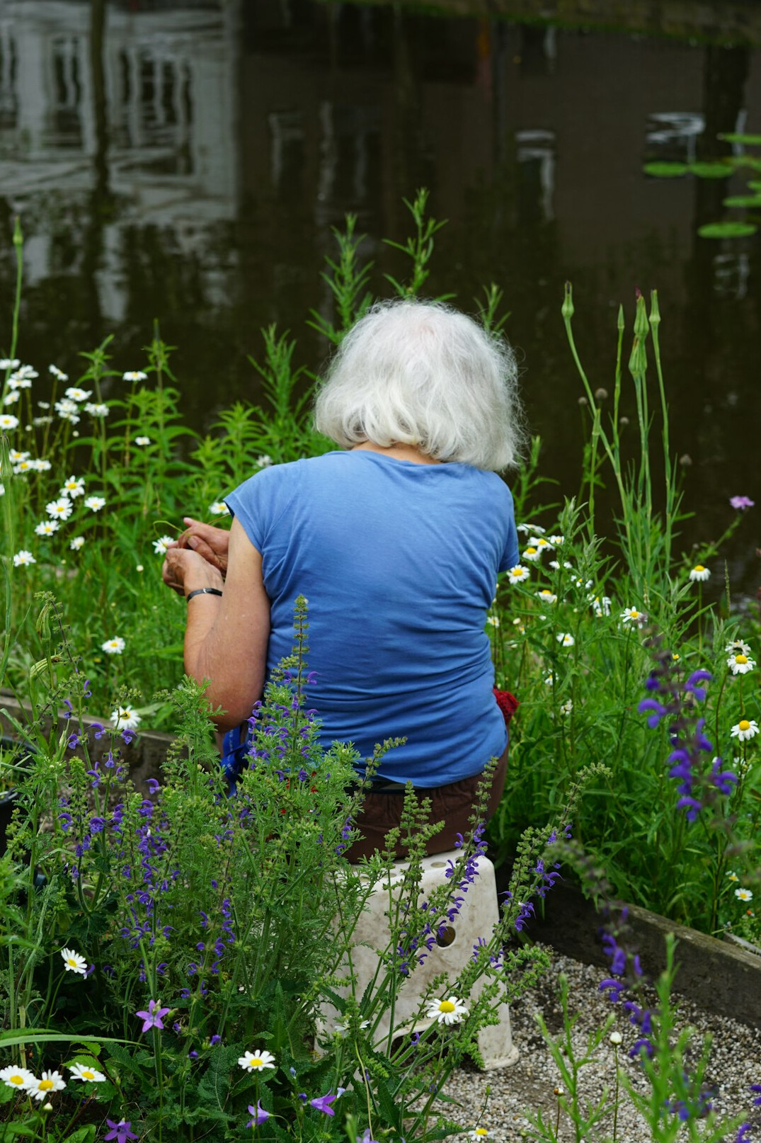 elderly woman in garden