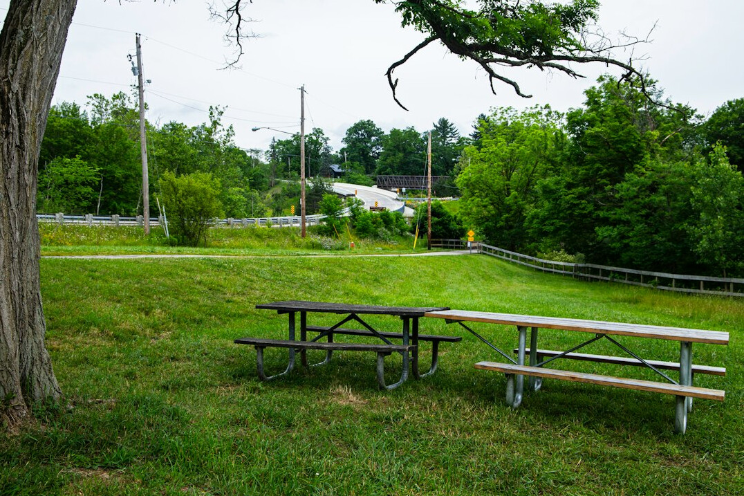 family picnic in park